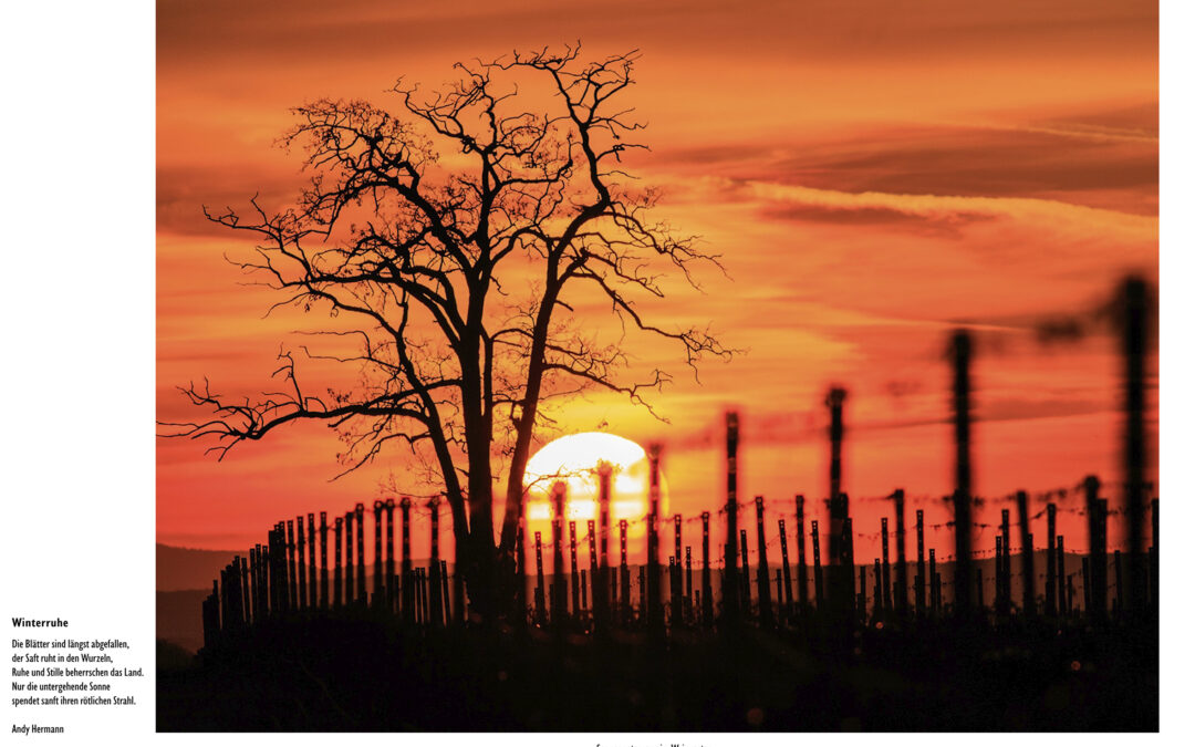 Fotoclub Ernstbrunn – Ausstellung „An den Grenzen des Sichtbaren“