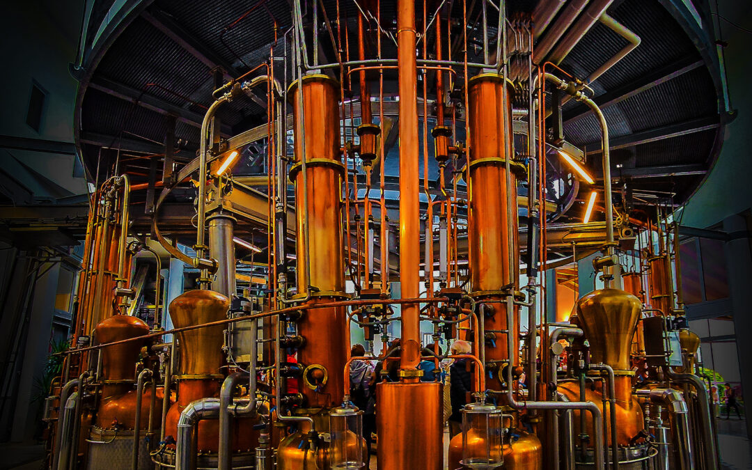 Gumpoldskirchner Kunstkreis – Neue Arbeiten