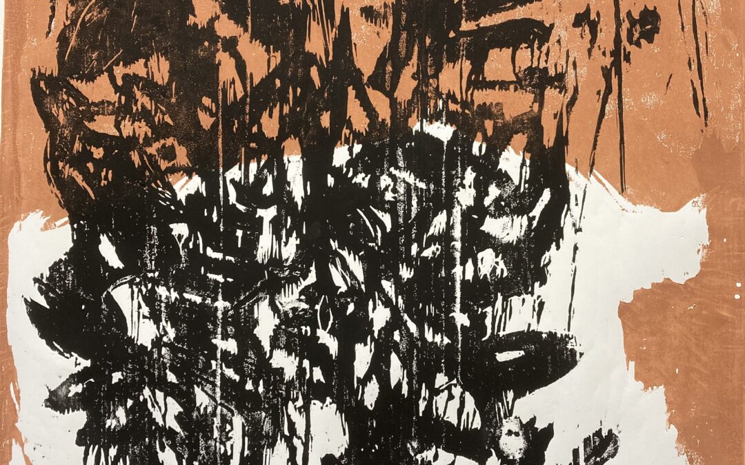 Günther  Schafellner