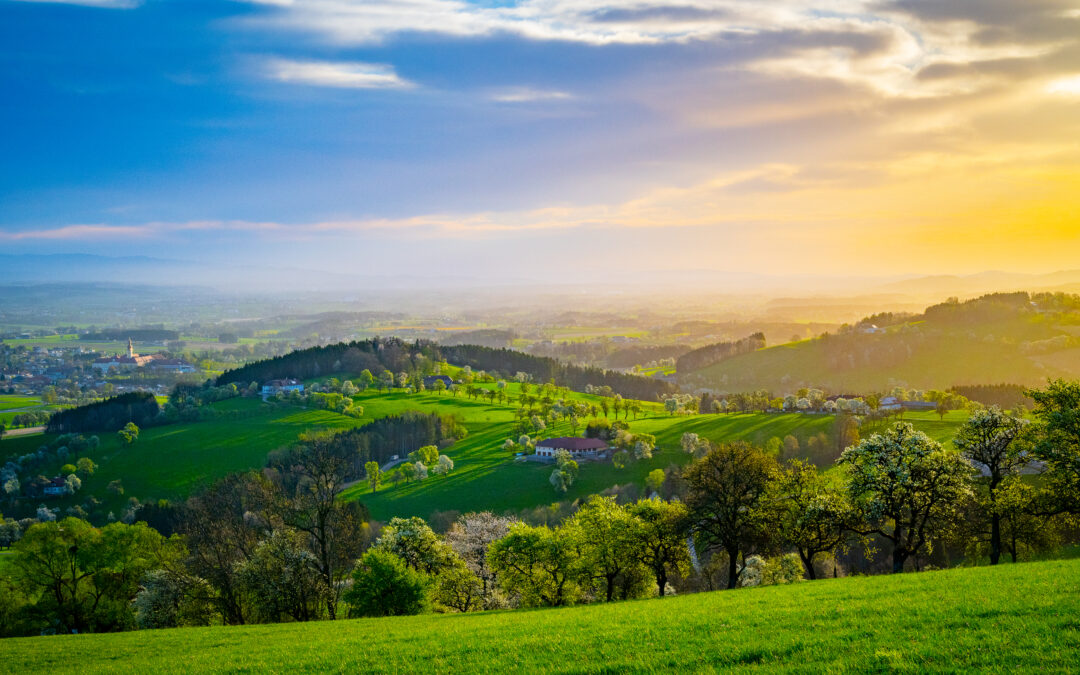 Fotoausstellung in der Ruine Perwarth
