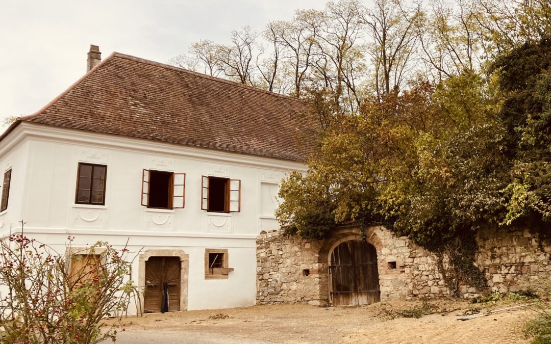 „Ladies First“ Eröffnung der Ateliere-Galerie „PRESSHAUS“