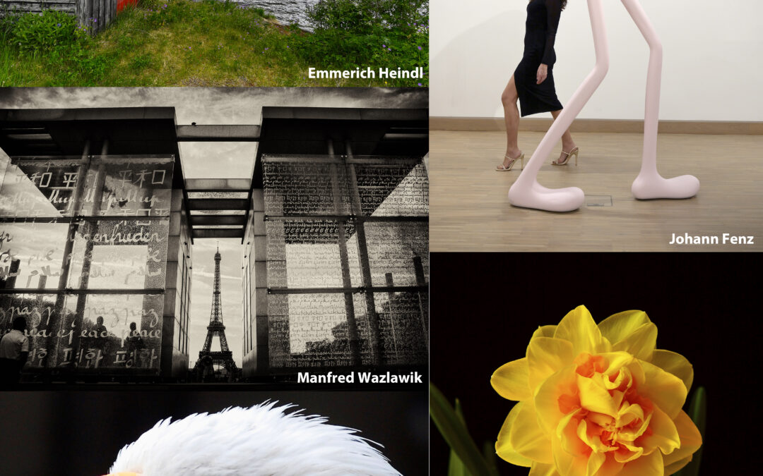 Pop-up-Galerie Horn / Fotoklub der VHS Horn