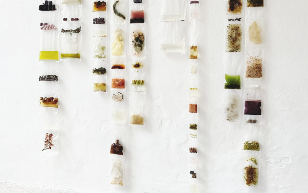 Marie Schoberleitner