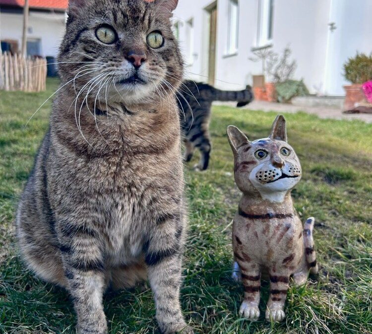 Fusser & Fusser