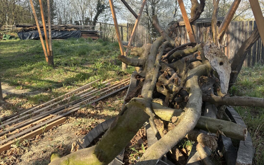 wachsen und werden