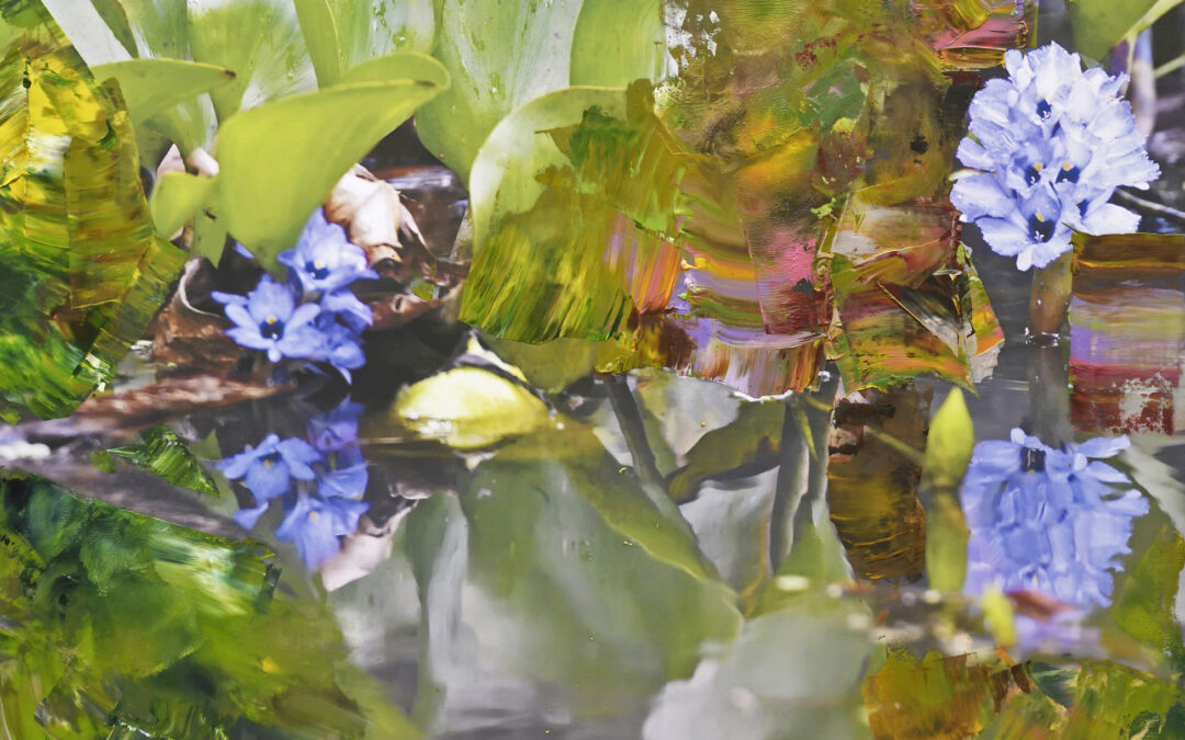 Barbara Knoglinger-Janoth